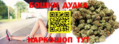 прущие крисы Новозыбков