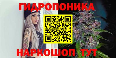 тгк Новодвинск