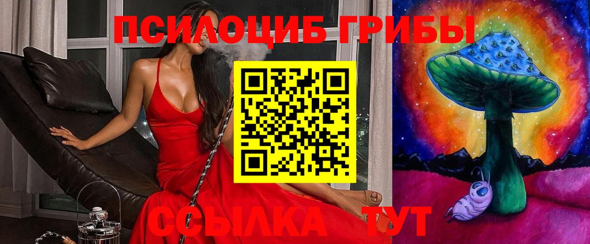 Псилоцибиновые грибы Psilocybine cubensis Тимашёвск