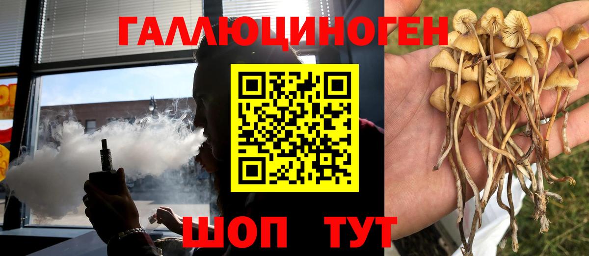 Тимашёвск  Галлюциногенные грибы MAGIC MUSHROOMS  хочу наркоту  Вход с VPN 
